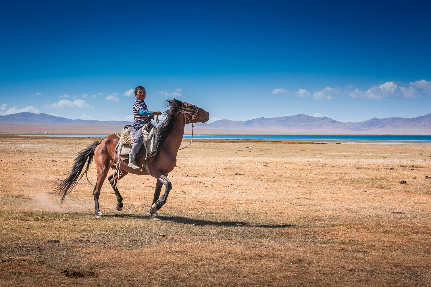 Enfant Kirghizstan Equitation Cheval Cavalier