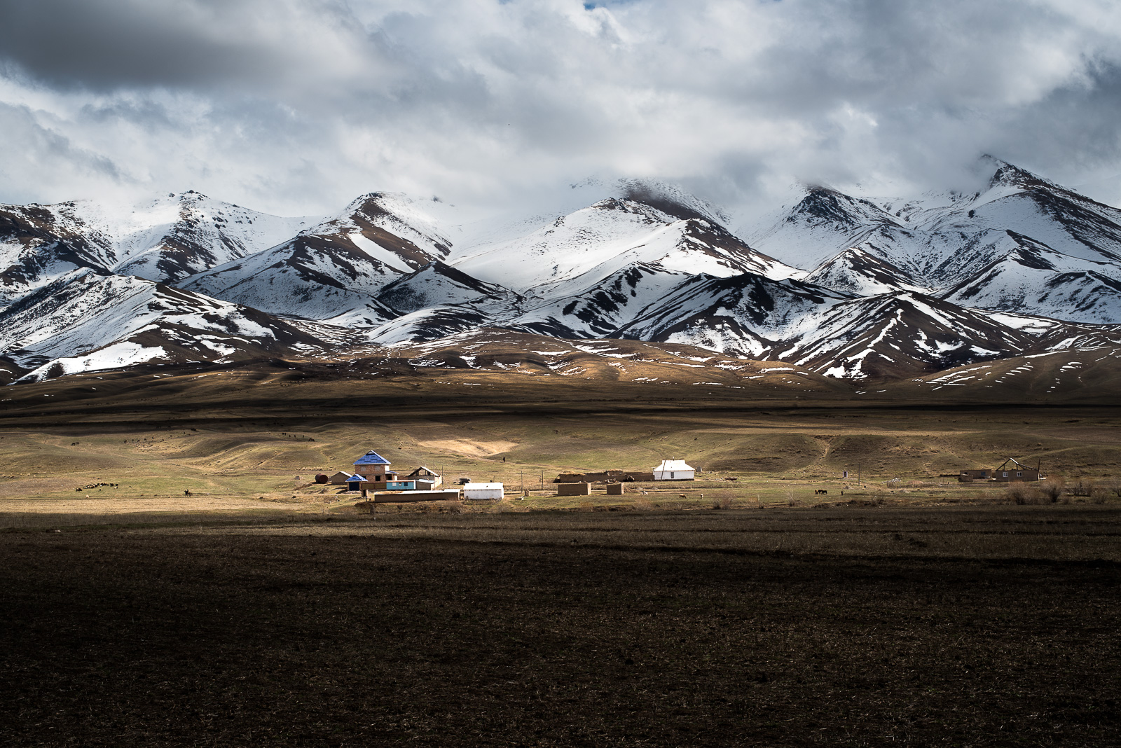 Montagnes Son Koul Kirghizstan