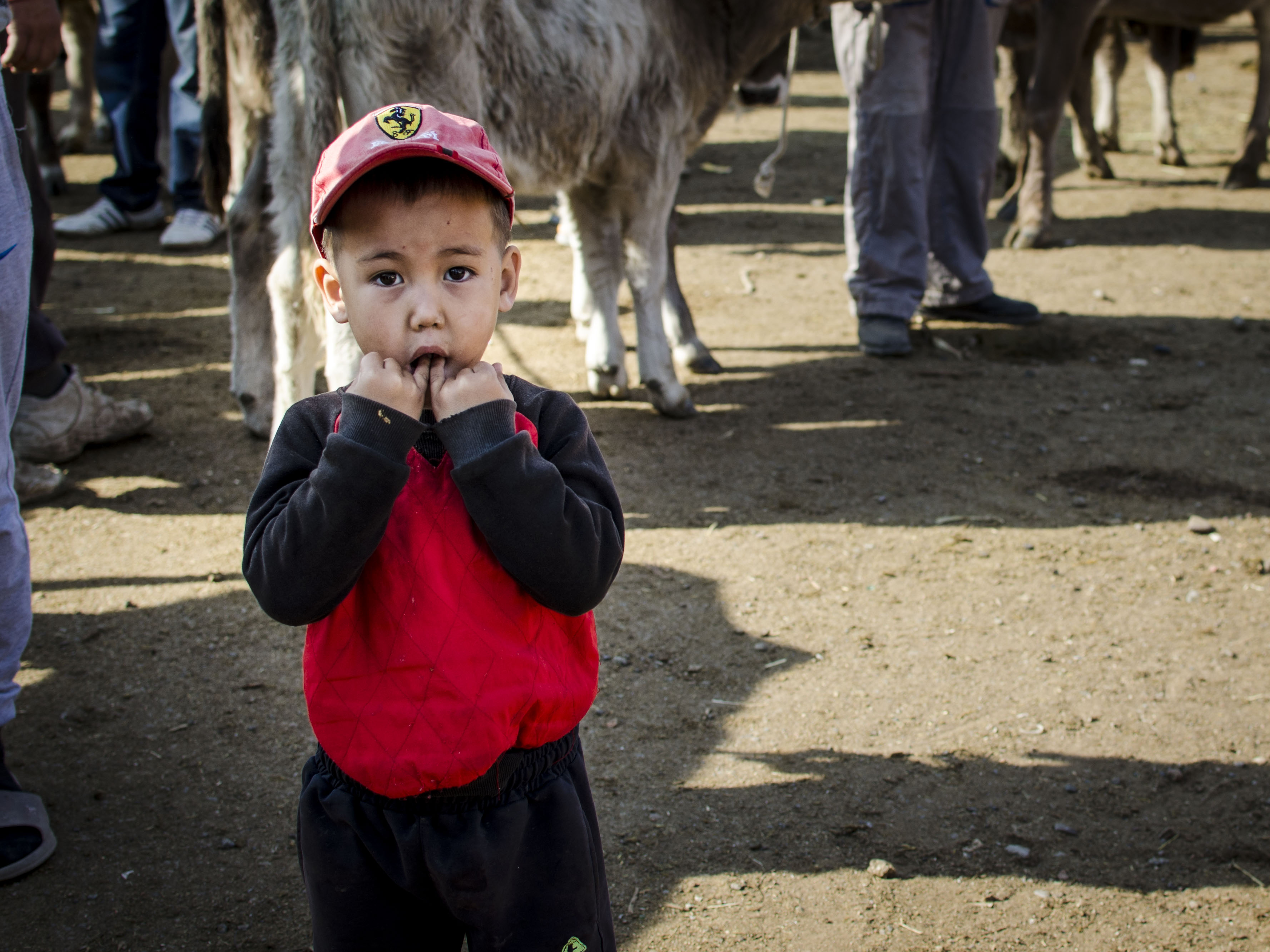 Kotchkor Enfant Marché Animaux Kirghizstan