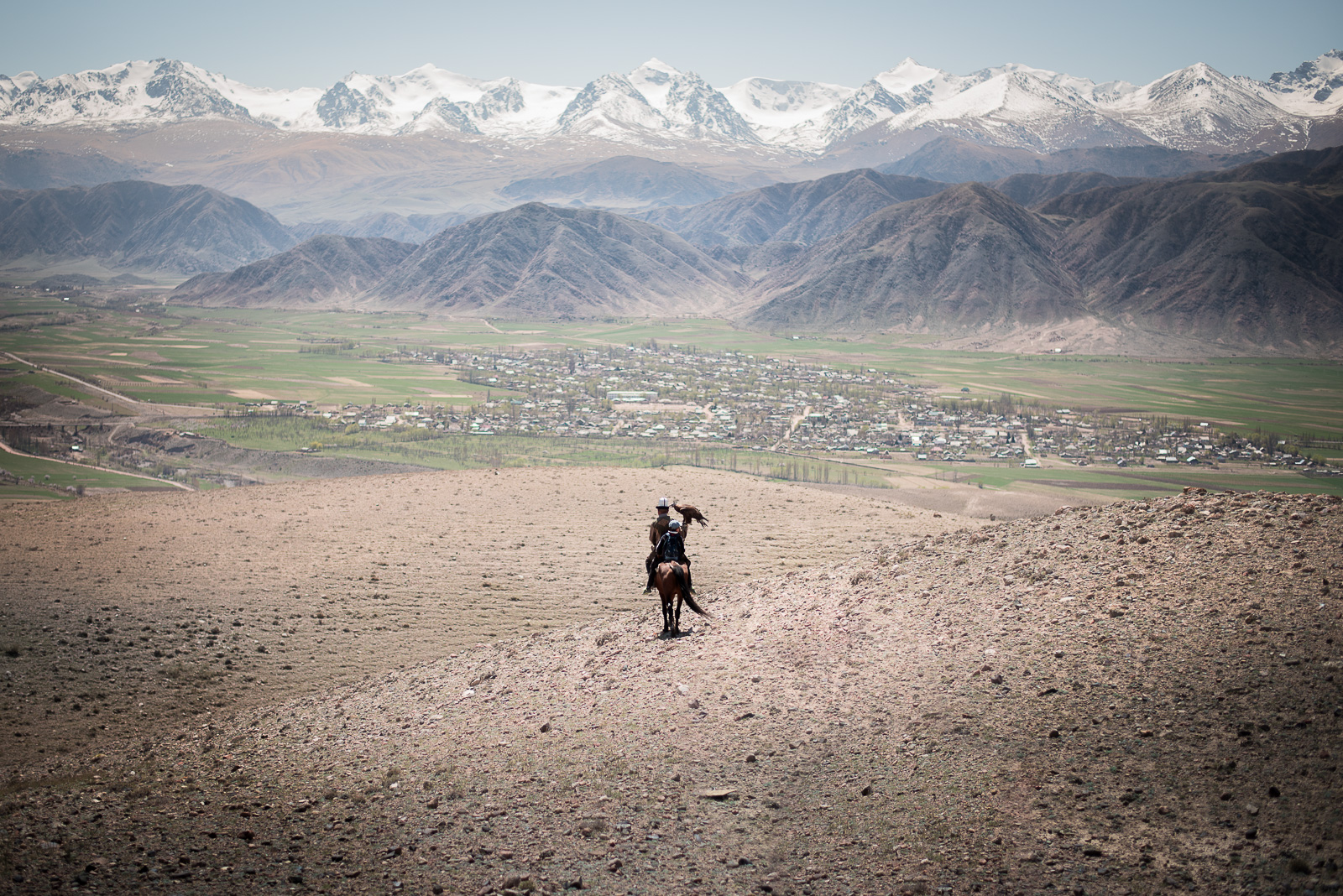 Chasse au faucon au Kirghizstan