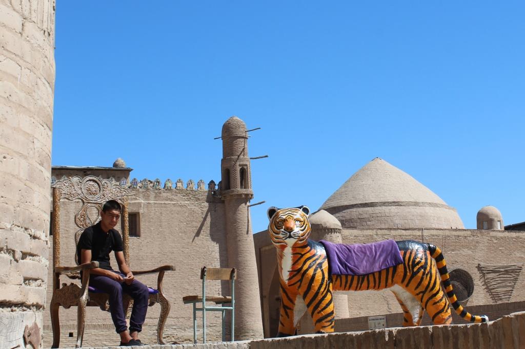 Tigre Khiva Ouzbékistan