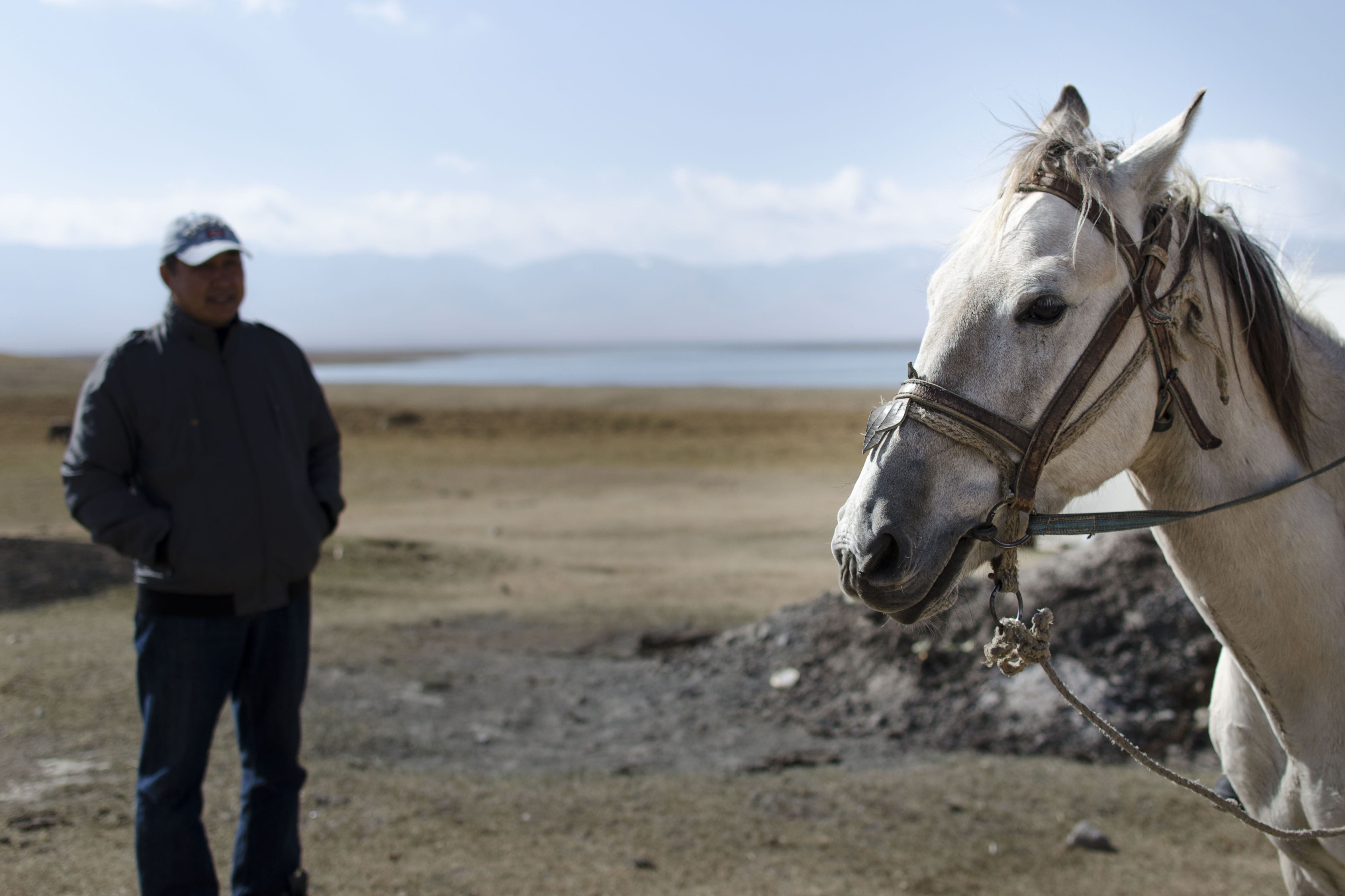 Kirghizstan Son Koul Cheval Race Maître