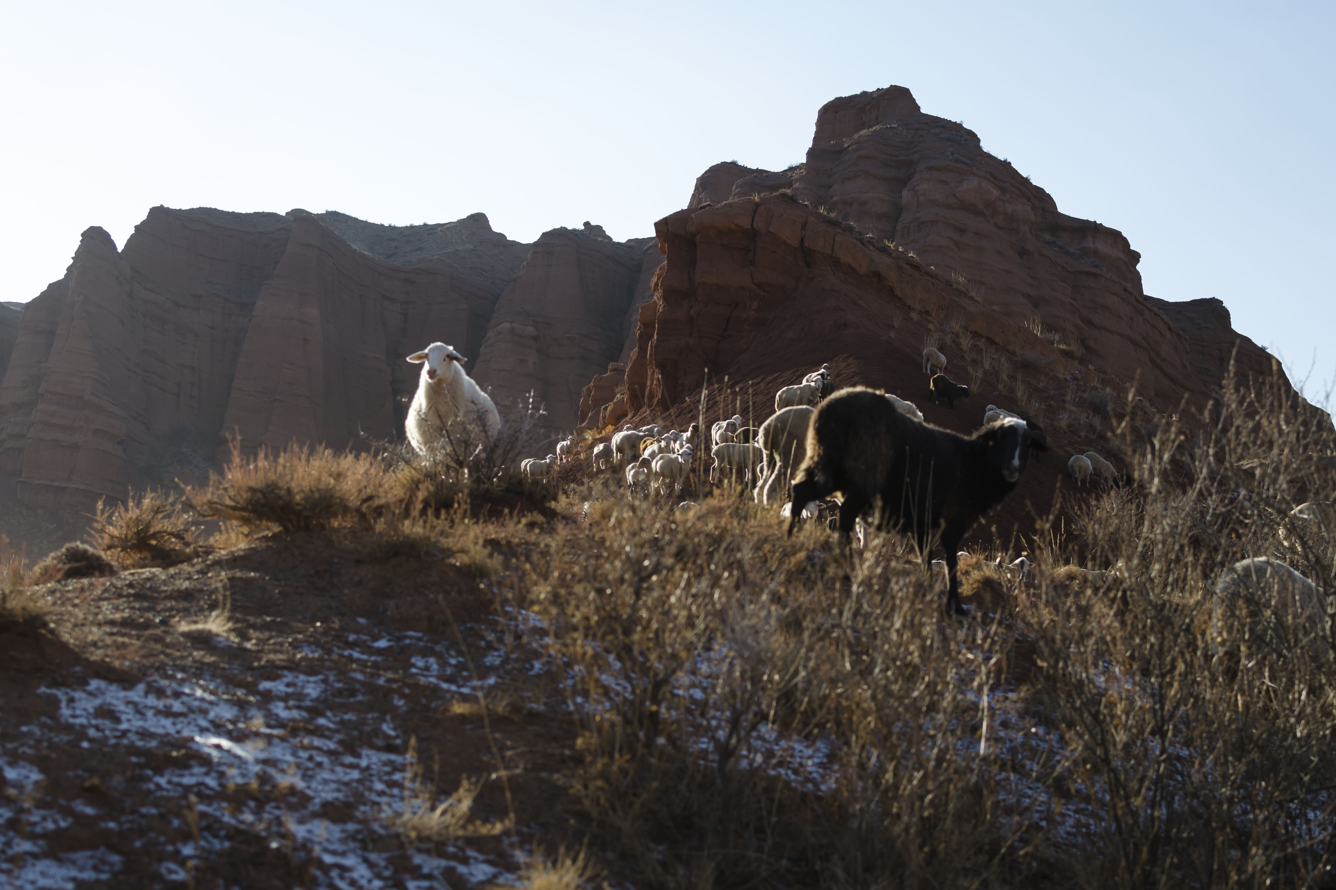 Ils se balladent dans la montagne