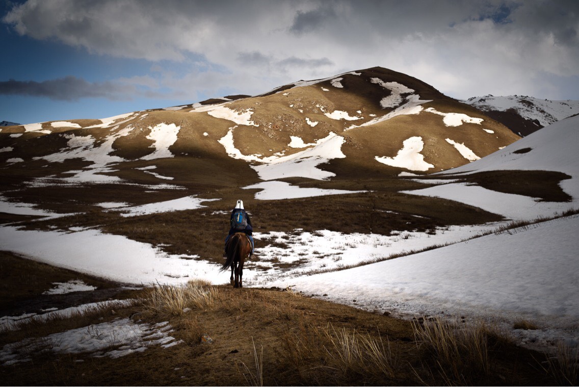 Un cheval dans les montagnes du Kirghizstan