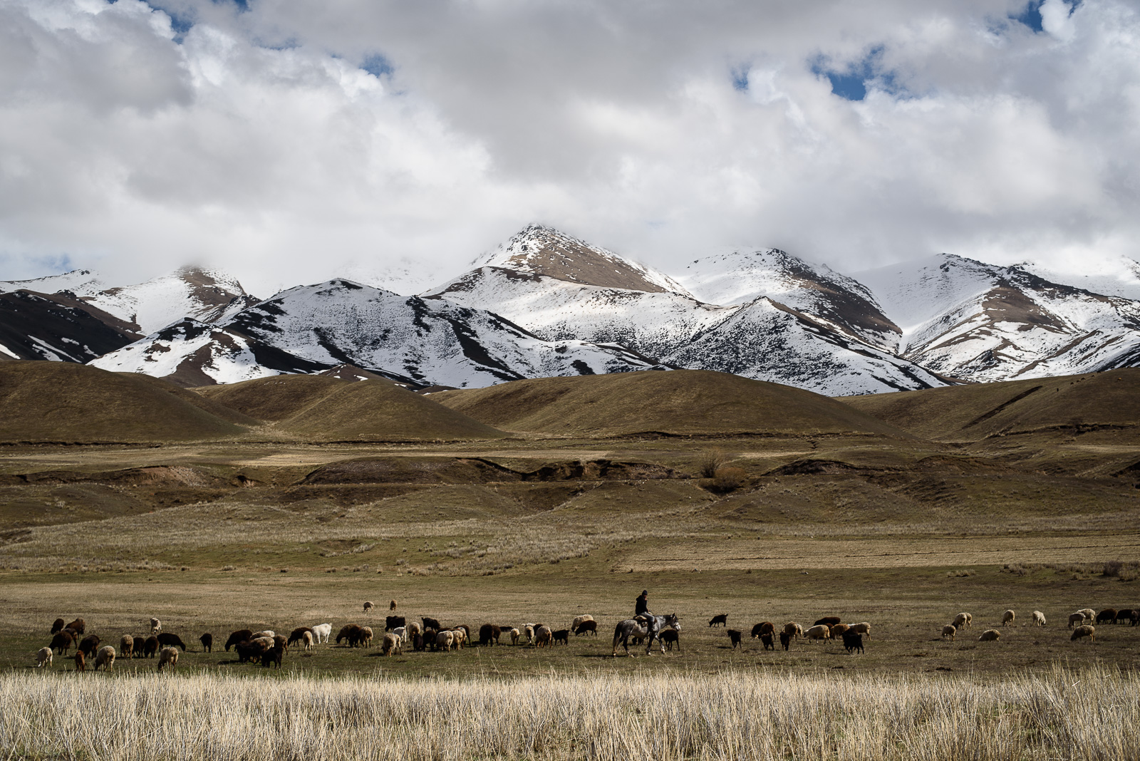 Printemps dans les montagnes du Kirghizstan