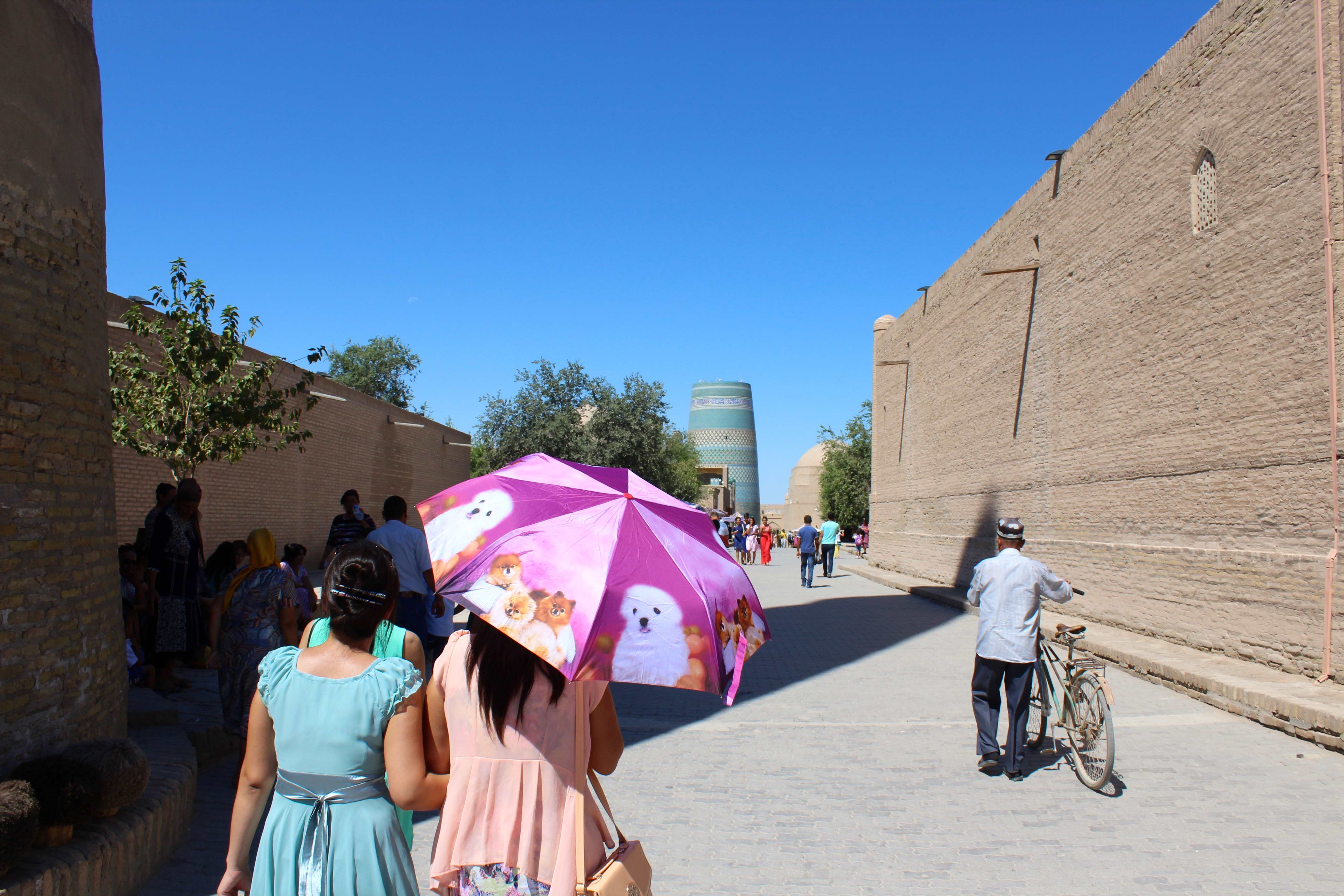 Khiva parasols chiens