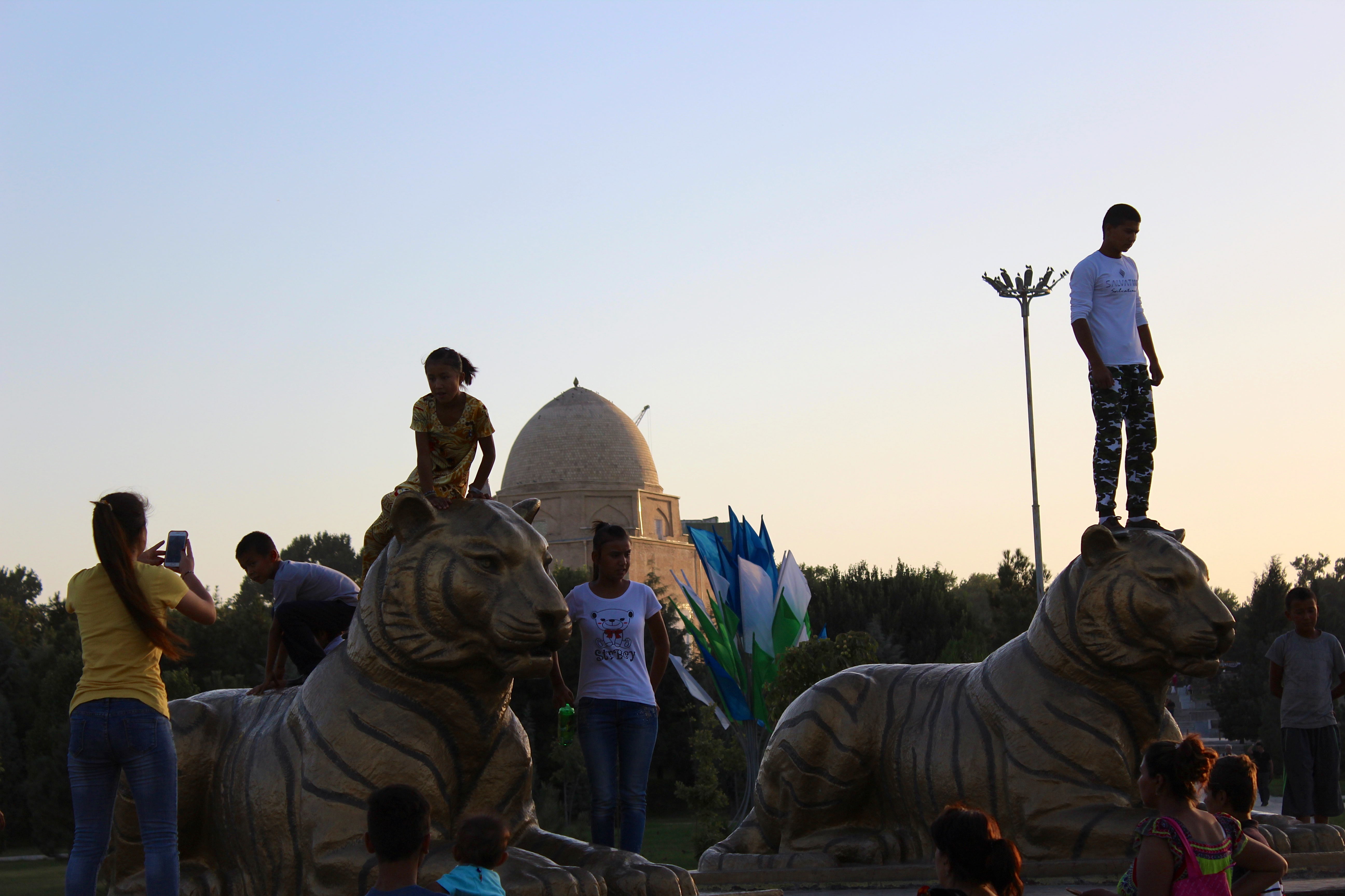 Tigres endormis Samarcande Ouzbékistan