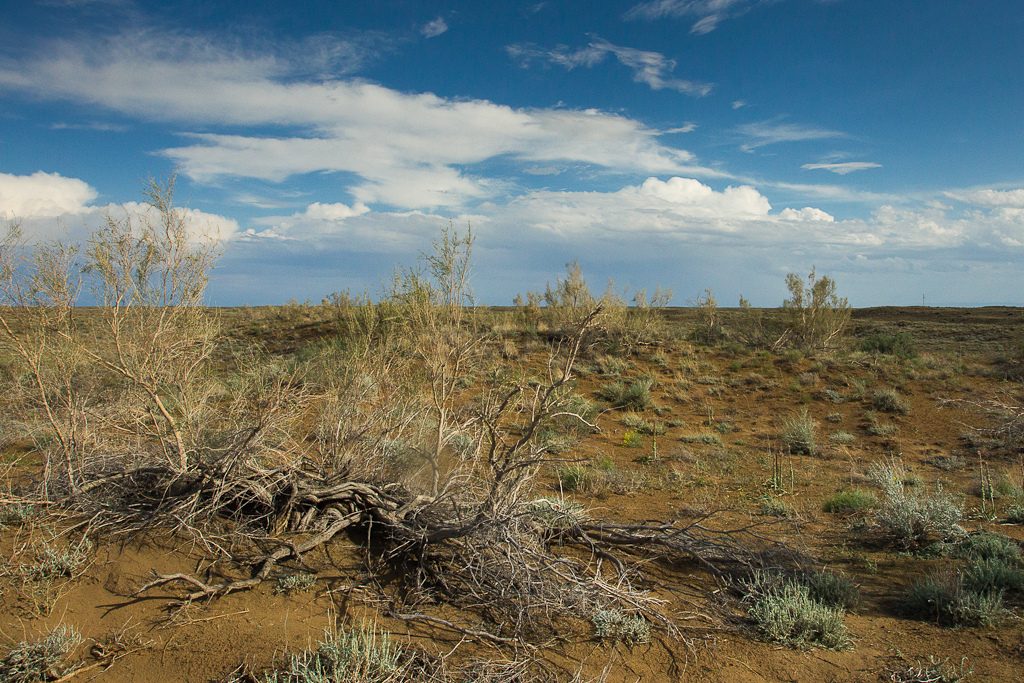 Steppe Kazakhstan Colons Ulhfeld Autriche Colons