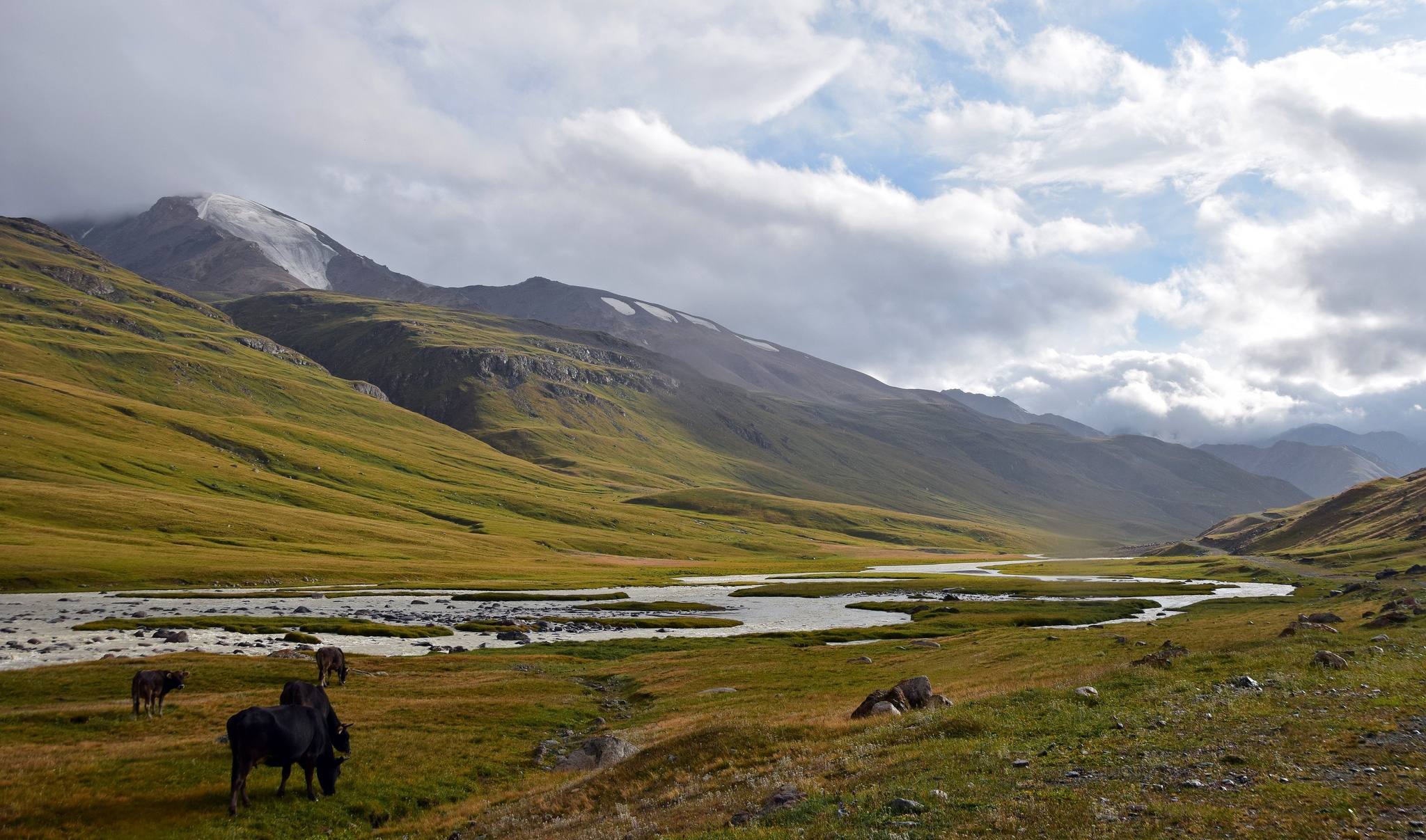 Naryn le col de Tosor Kirghizstan