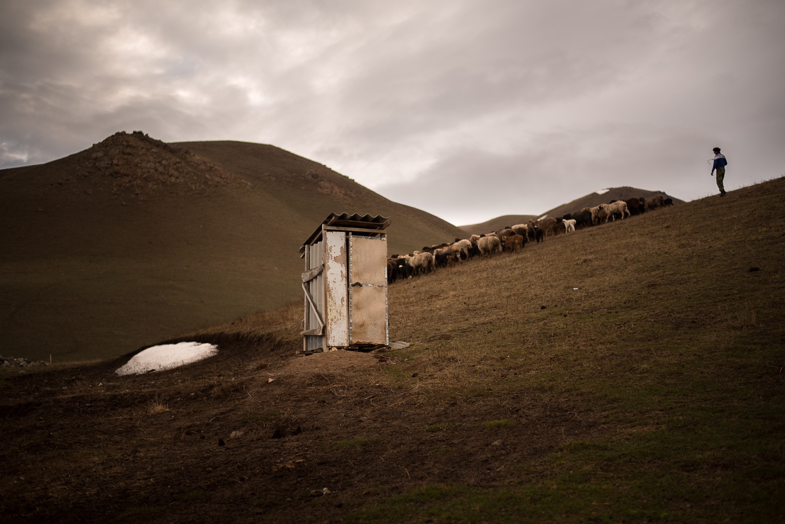 journée de pâture toilettes familiales