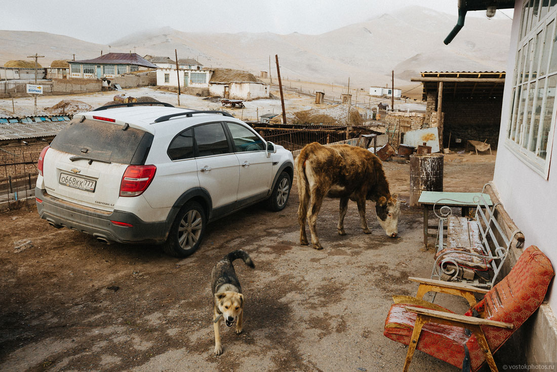 Kirghizstan Pamir Montagne Reportage Paysages Sary-Tach Voiture Chien Vache