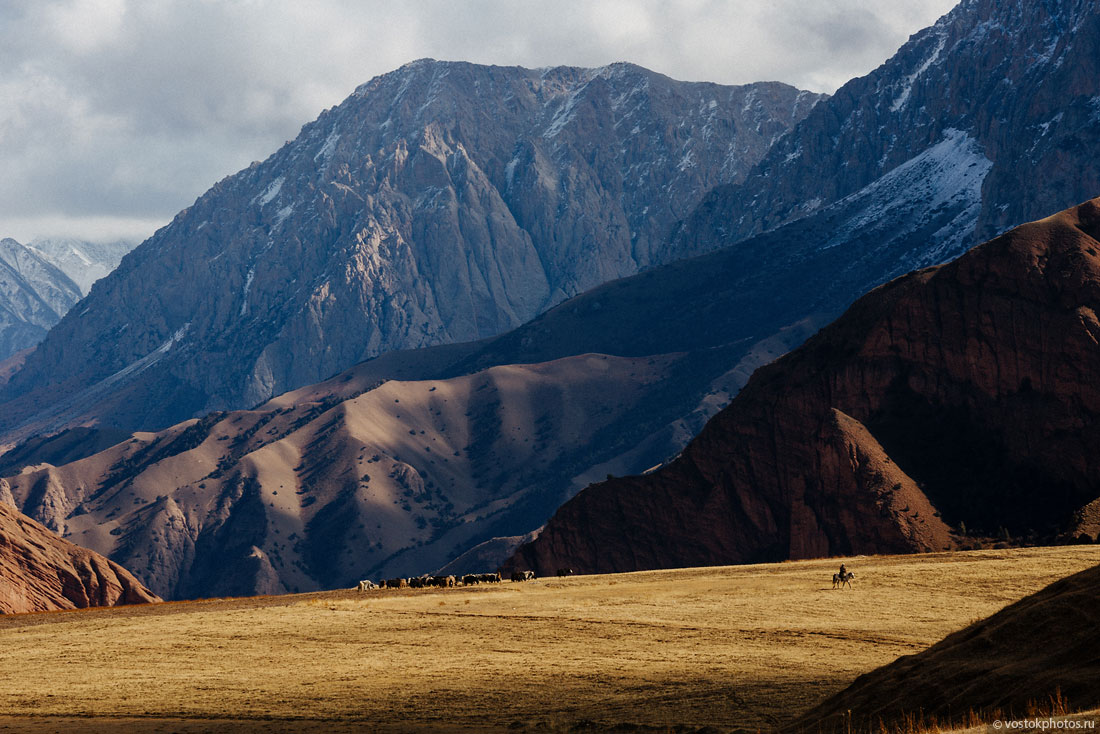 Kirghizstan Pamir Montagne Reportage Paysages Berger Yaks