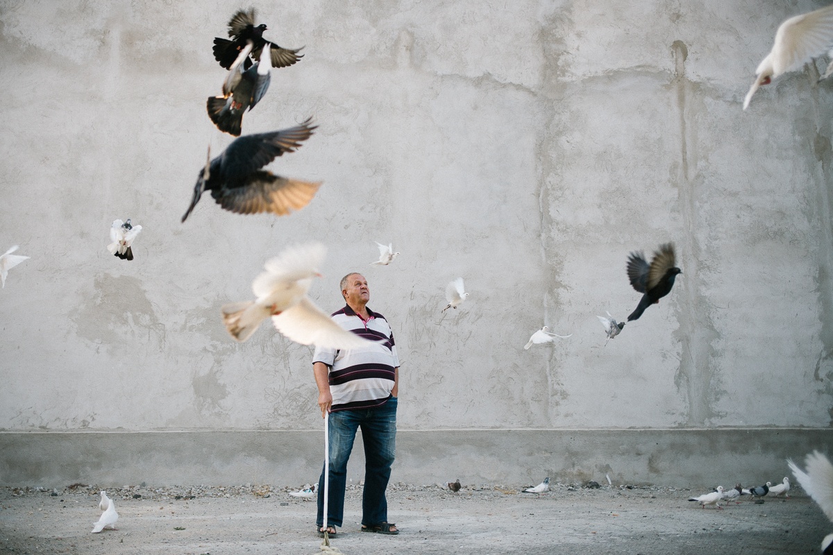 Un homme regarde ses pigeons s'envoler