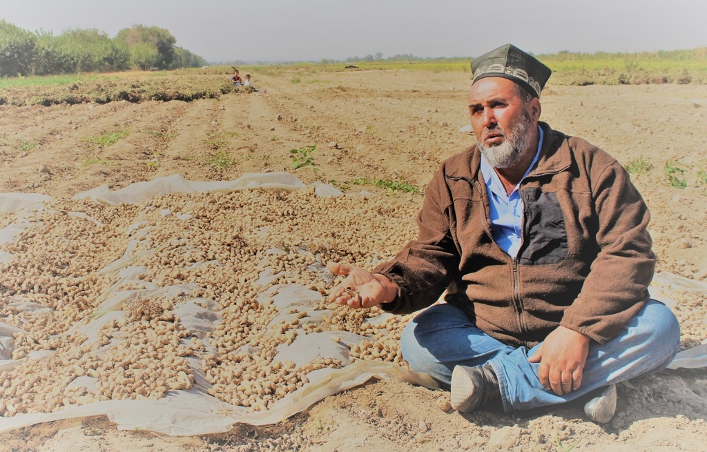 Fermier tadjik