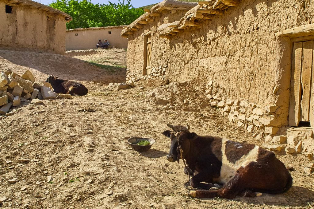 Boysun, dans le sud de l'Ouzbékistan, est depuis 2008 inscrite au patrimoine mondial de l'Unesco car le patrimoine culturel de la région est ici particulièrement bien conservé.