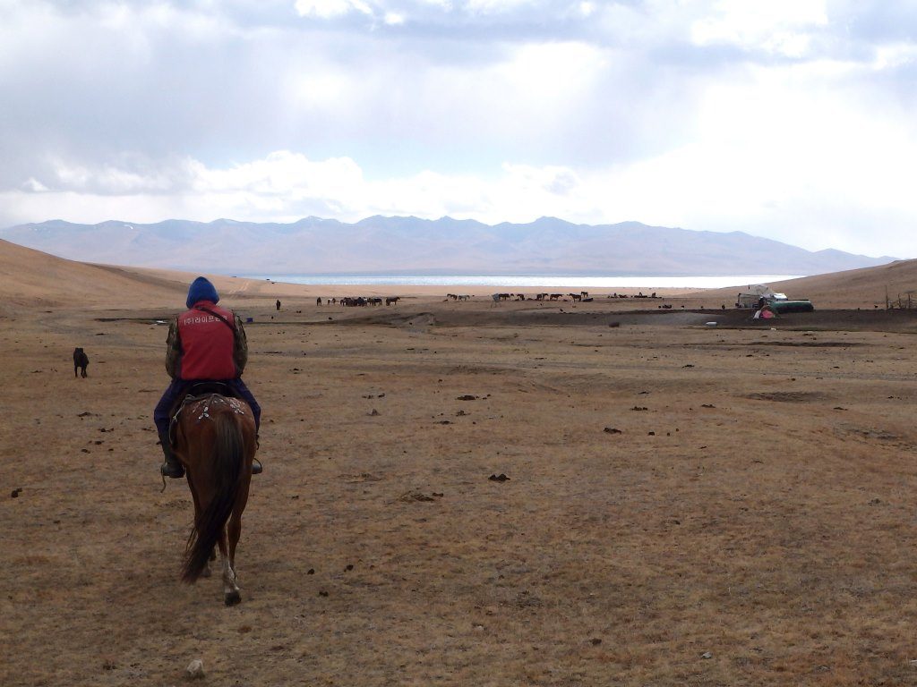 Khassan Cheval Son Koul Kirghizstan Vol