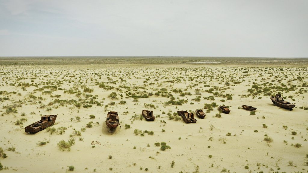 Aral Mer Ouzbékistan Kazakhstan Forêt