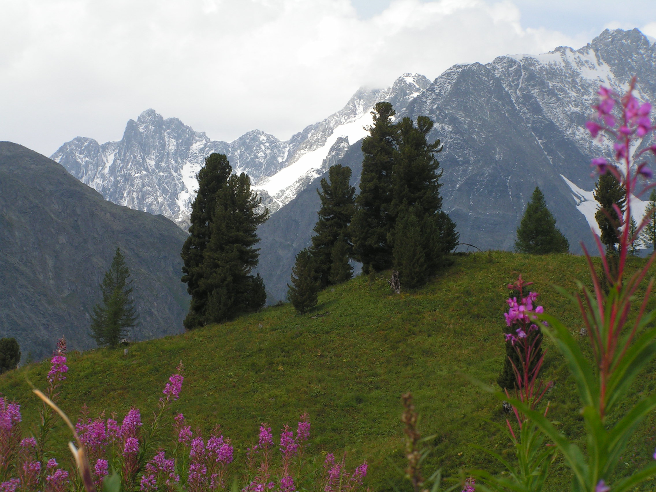 Réserve naturelle Ramit Monts Gissar Tadjikistan