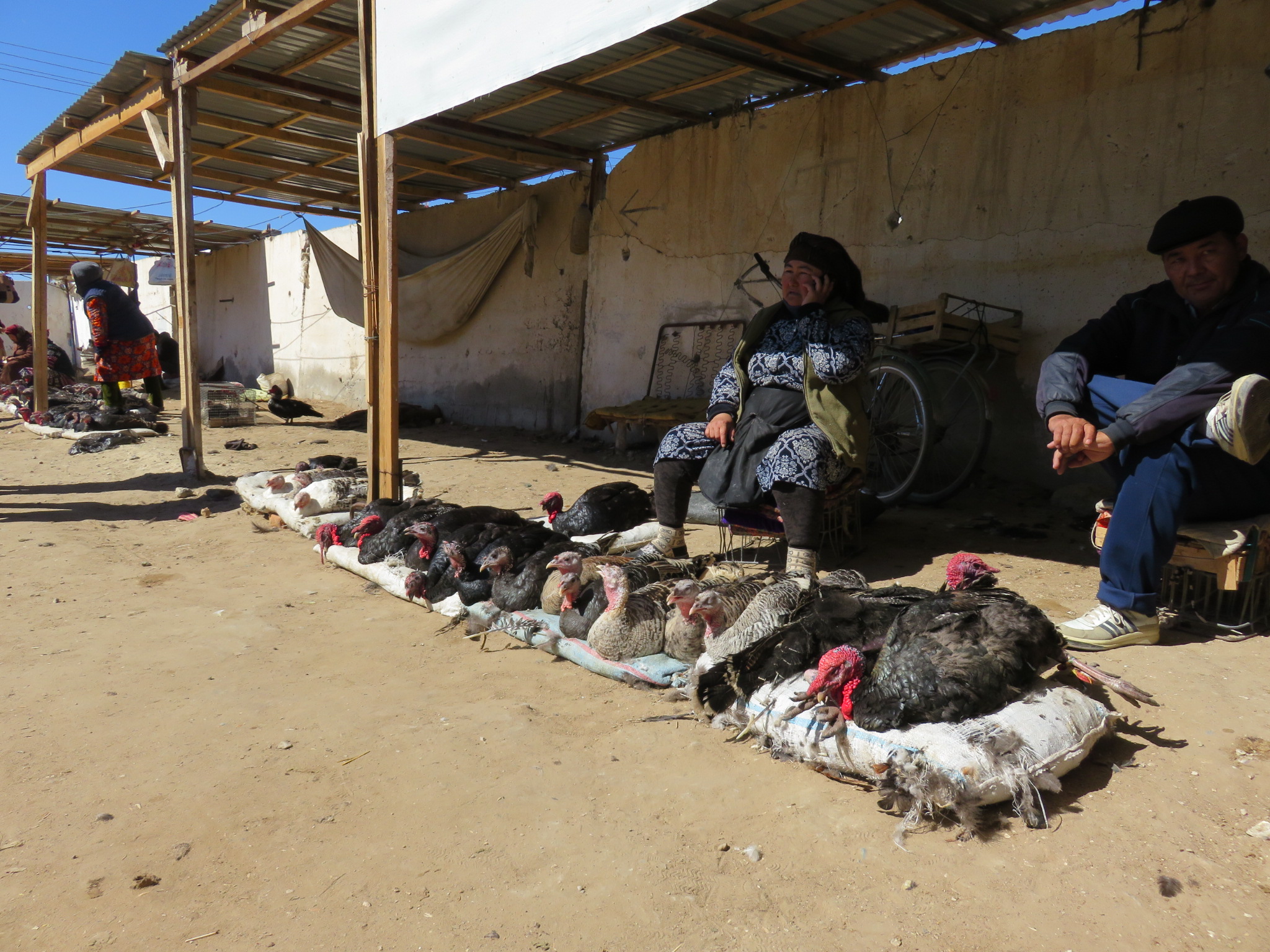 Dindes Nukus Marché Karakalpakstan Ouzbékistan Photo du jour