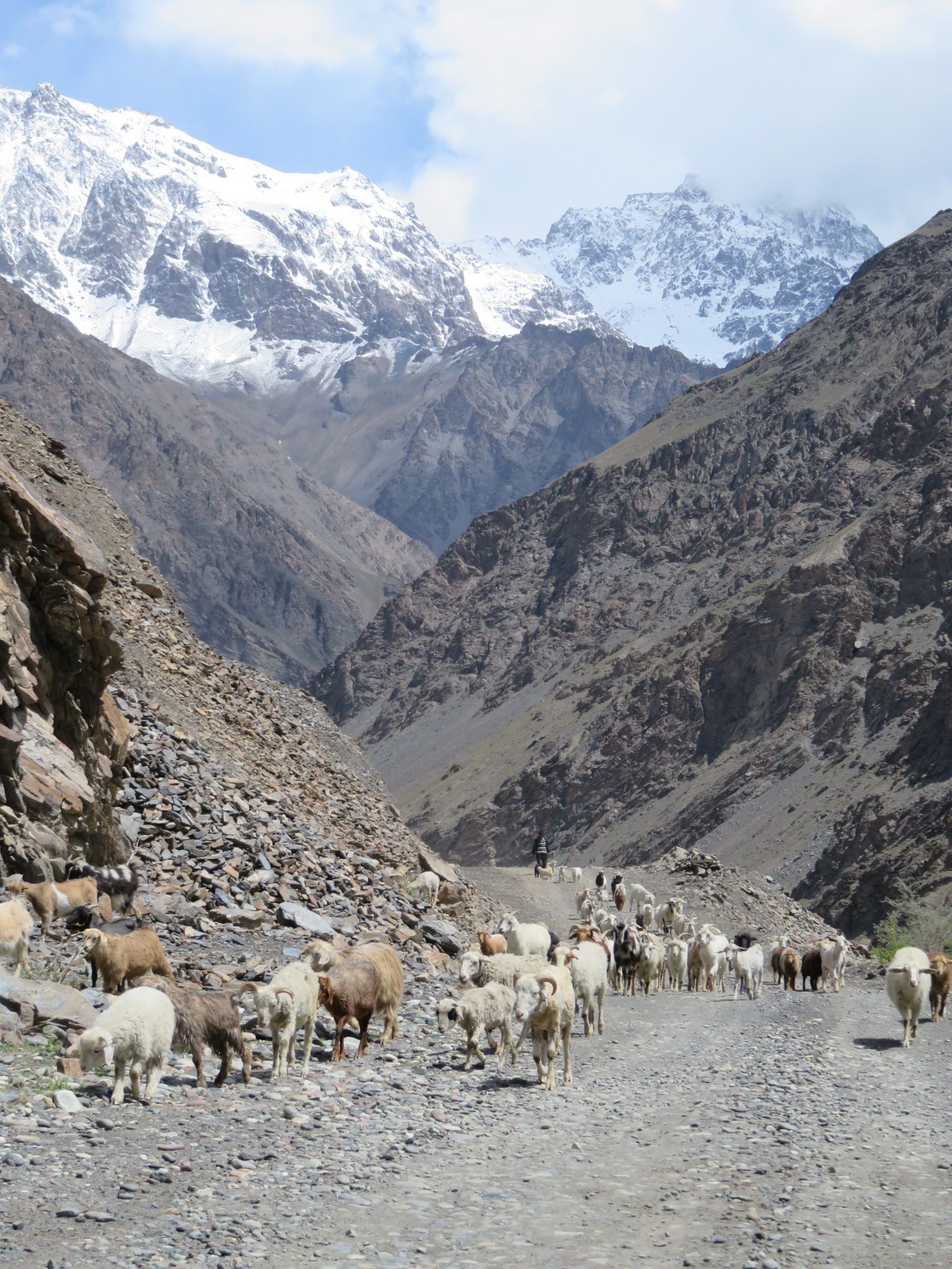 Elevage Pamir Tadjikistan Photo du Jour