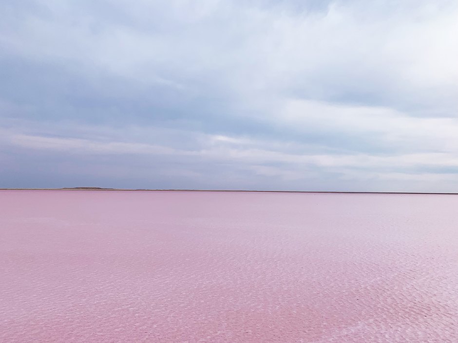 Lac Rose Kobeytouz Kazakhstan Algues Tourisme