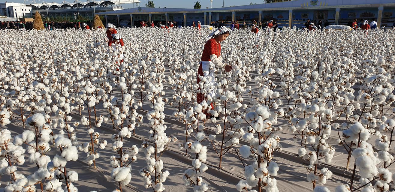 coton Turkmenistan production récolte augmentation