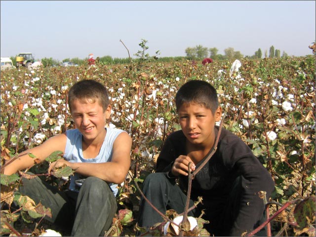 Coton Ramassage forcé Ouzbékistan Enfants