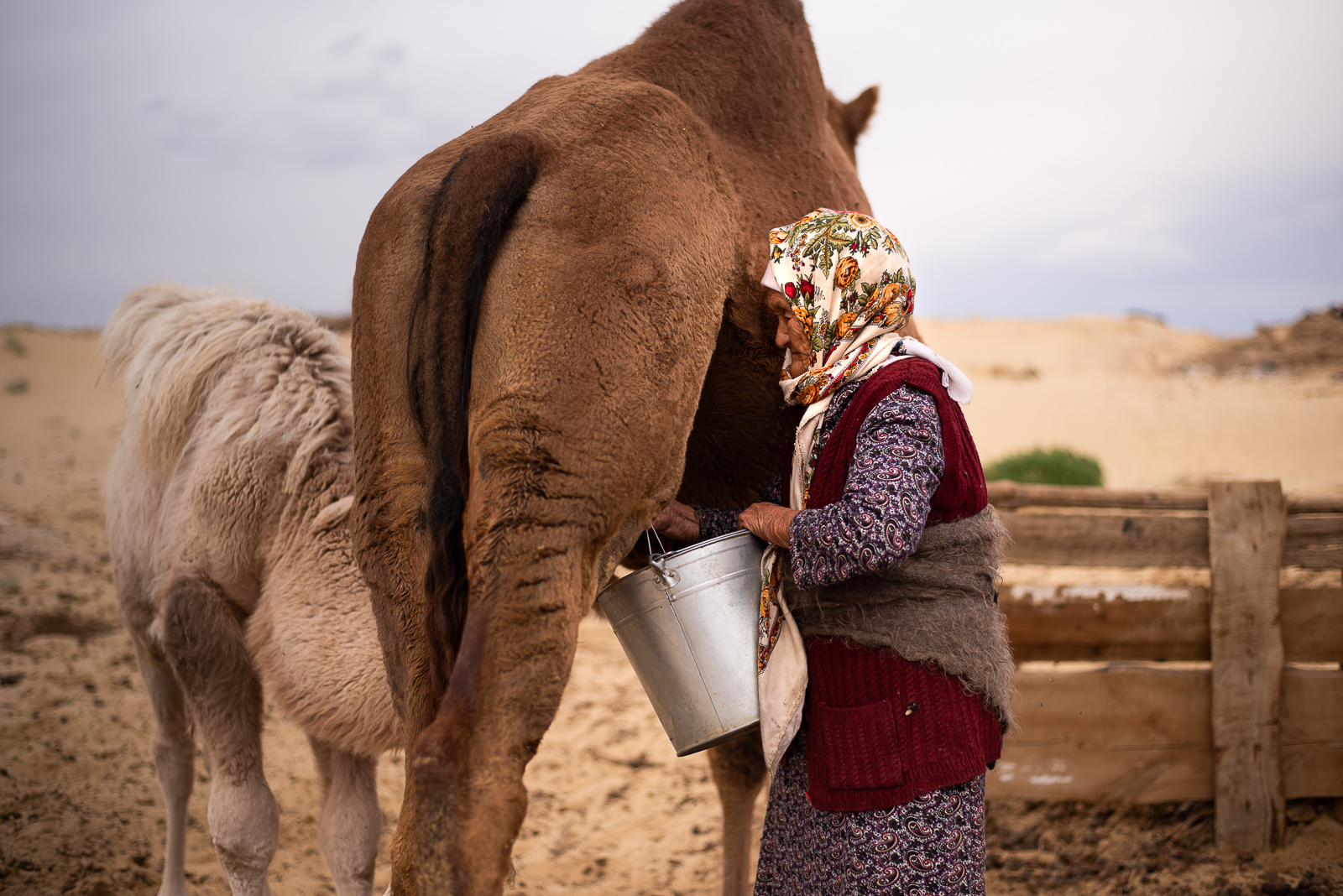 Ouzbékistan Mer d'Aral