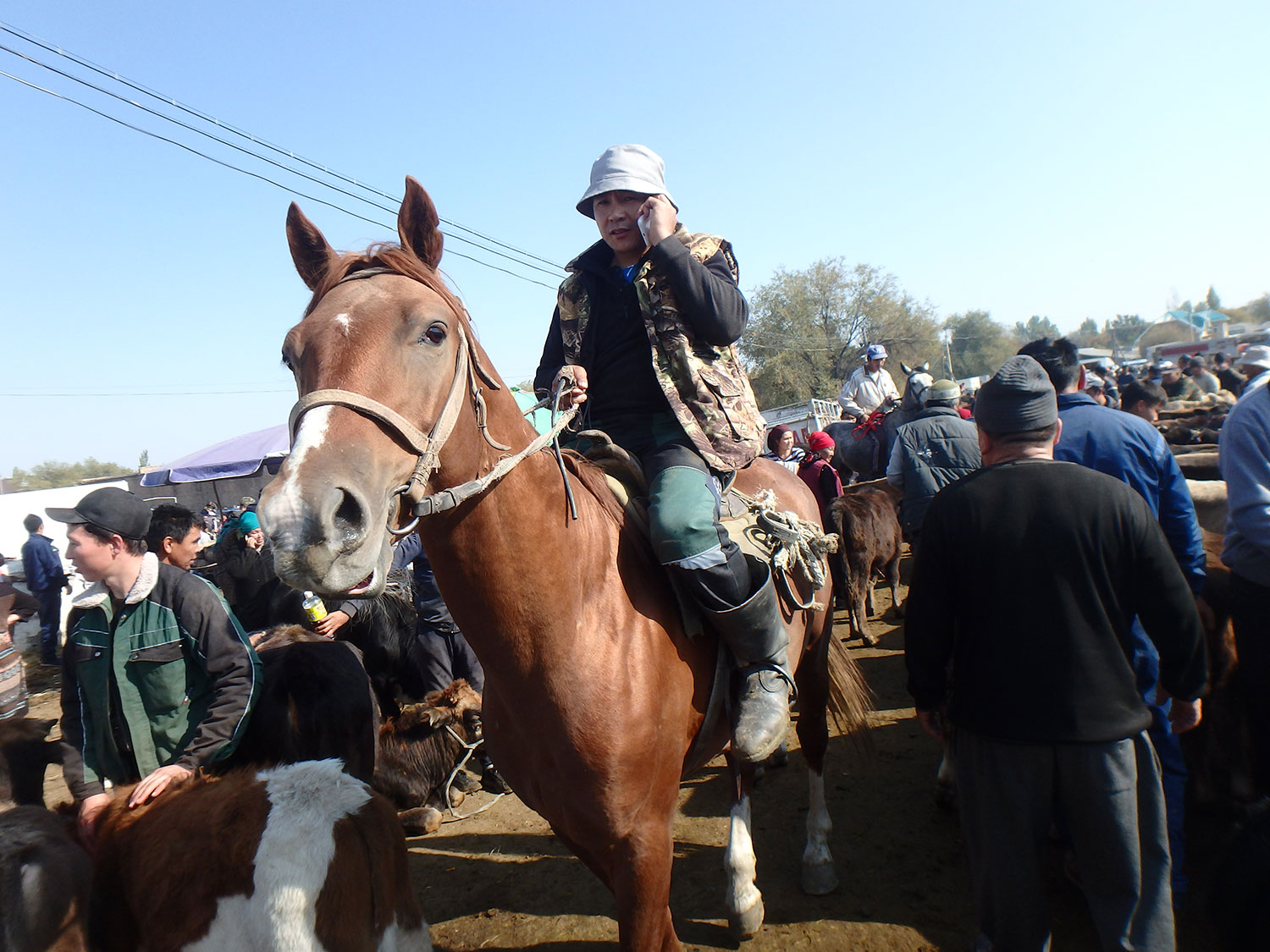 Kirghizstan Kotchkor Bazar Cheval