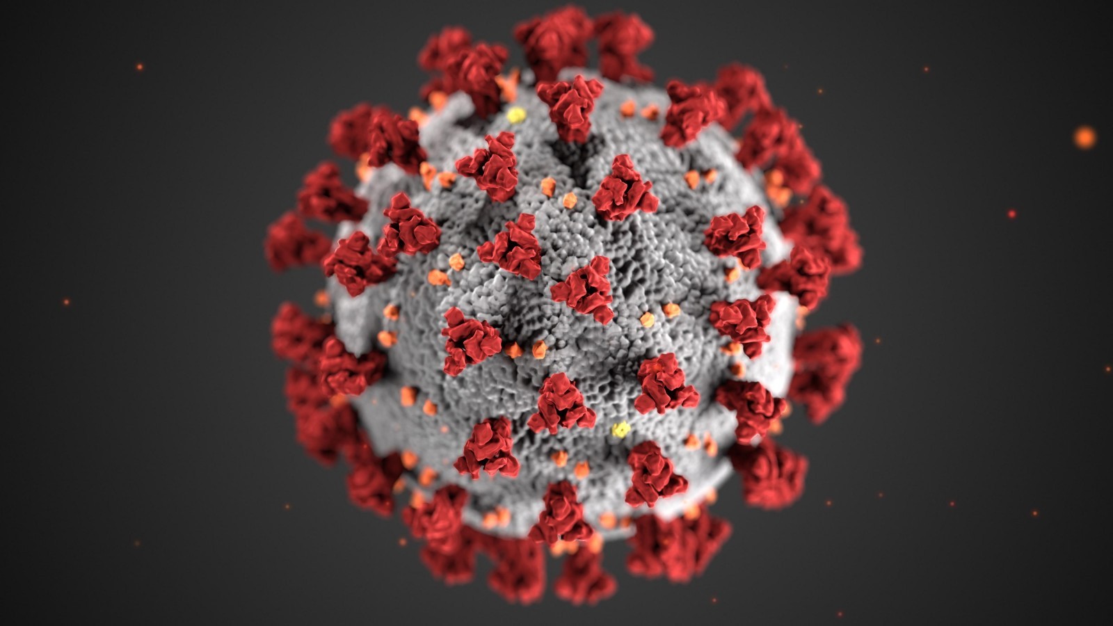 covid-19 Coronavirus Asie centrale Kirghizstan Kazakhstan Ouzbékistan Tadjikistan Turkménistan Santé Etat