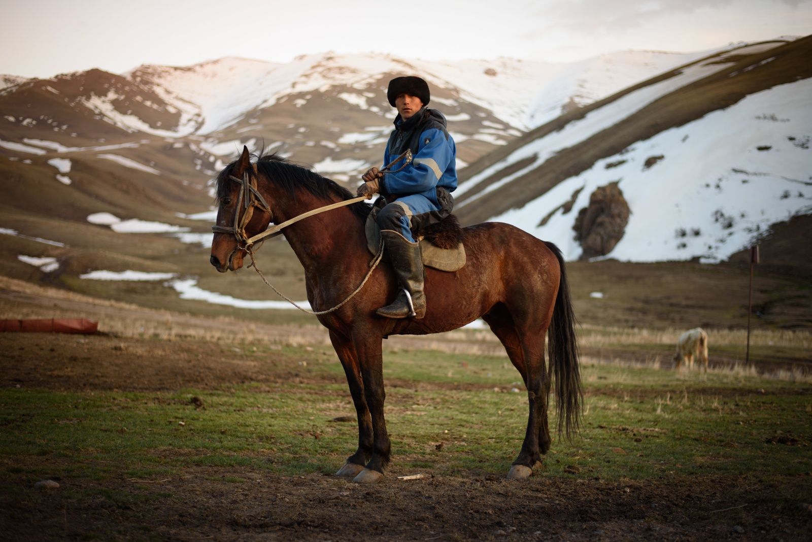 Kirghizstan bouzkachi cheval jeu montagne