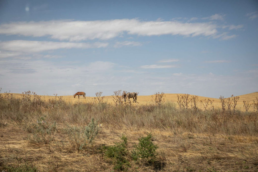 Kazakhstan Braconnage Garde-forestier Environnement