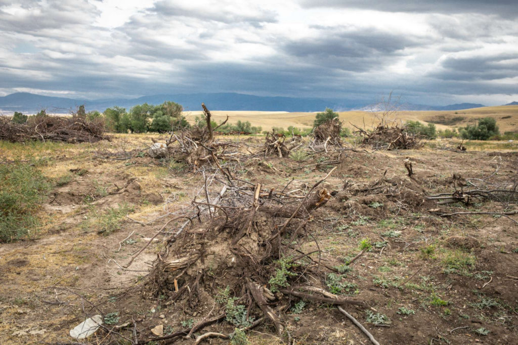 Kazakhstan Braconnage Garde-forestier Environnement