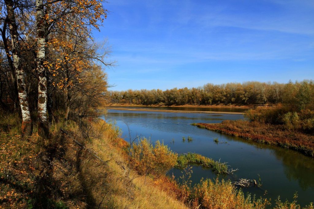 Environnement Oural Kazakhstan Fleuve Forêt