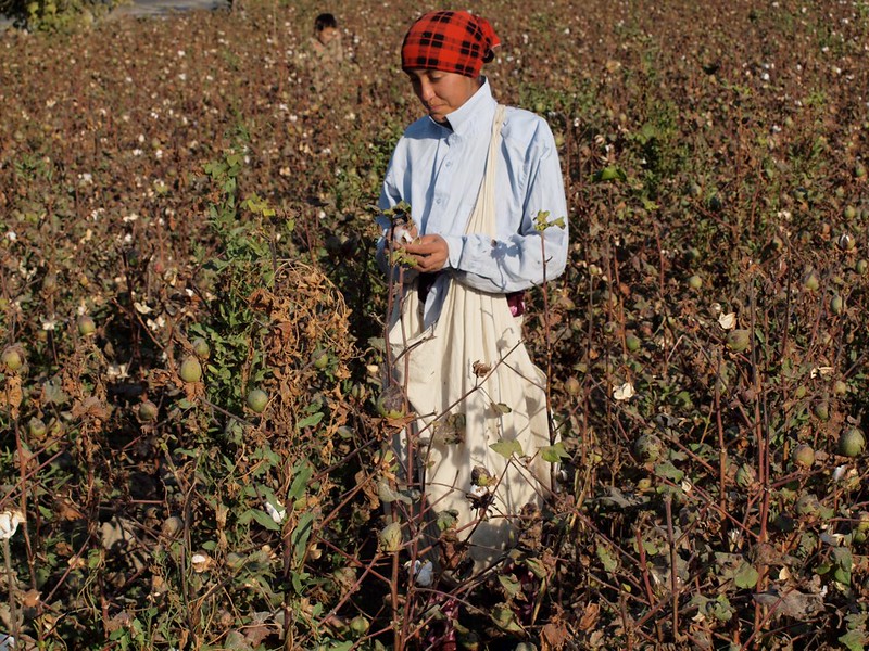 Xinjiang Asie centrale Coton Boycott Commerce Ouïhghours