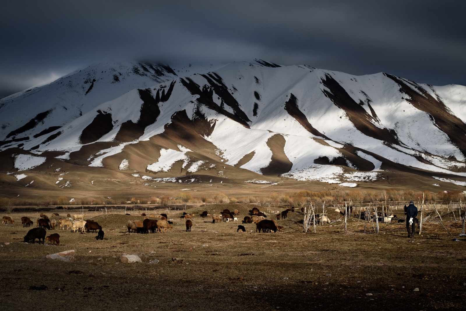 Photo du jour KirghizistanKojomkoul