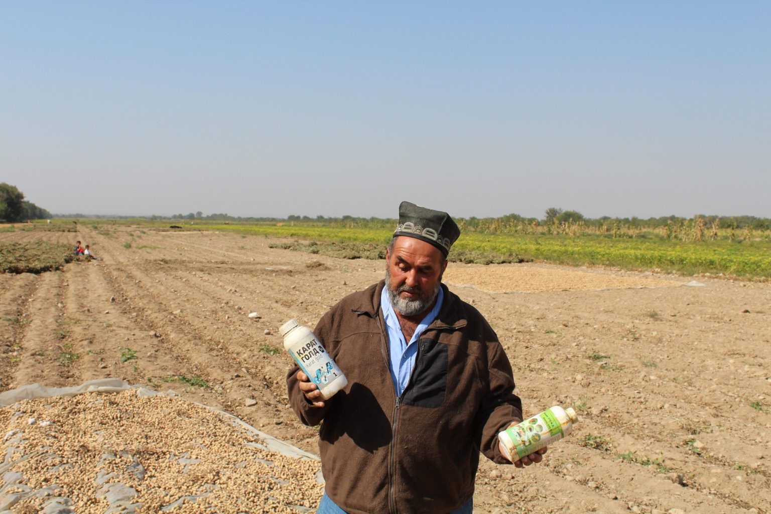 Tadjikistan Pesticides Agriculture