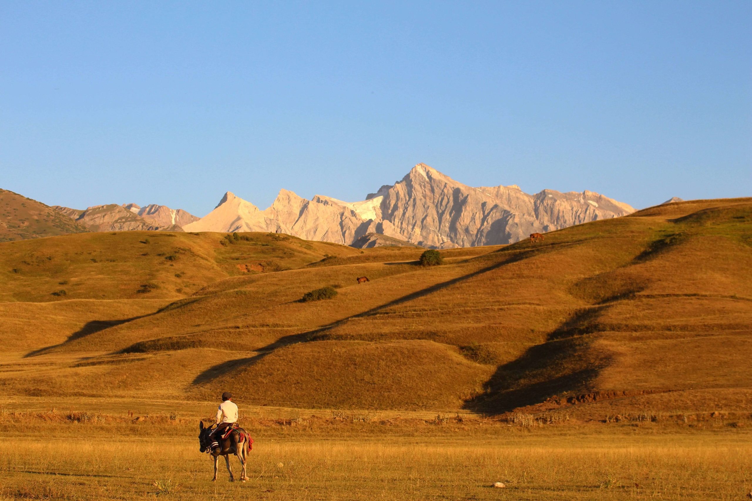 Chimkent, Kazakhstan, Garçon, Montagne, Cheval, Photo du jour