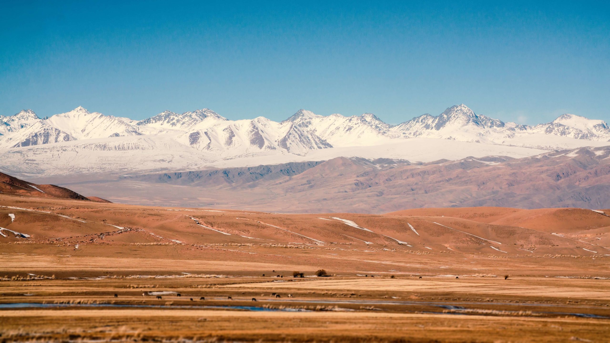 Route, Kirghizstan, Photo du jour, Montagne, Vallée du Tchouï