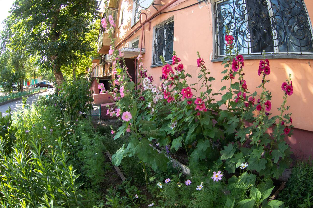 Cour sur la rue Esenberline.