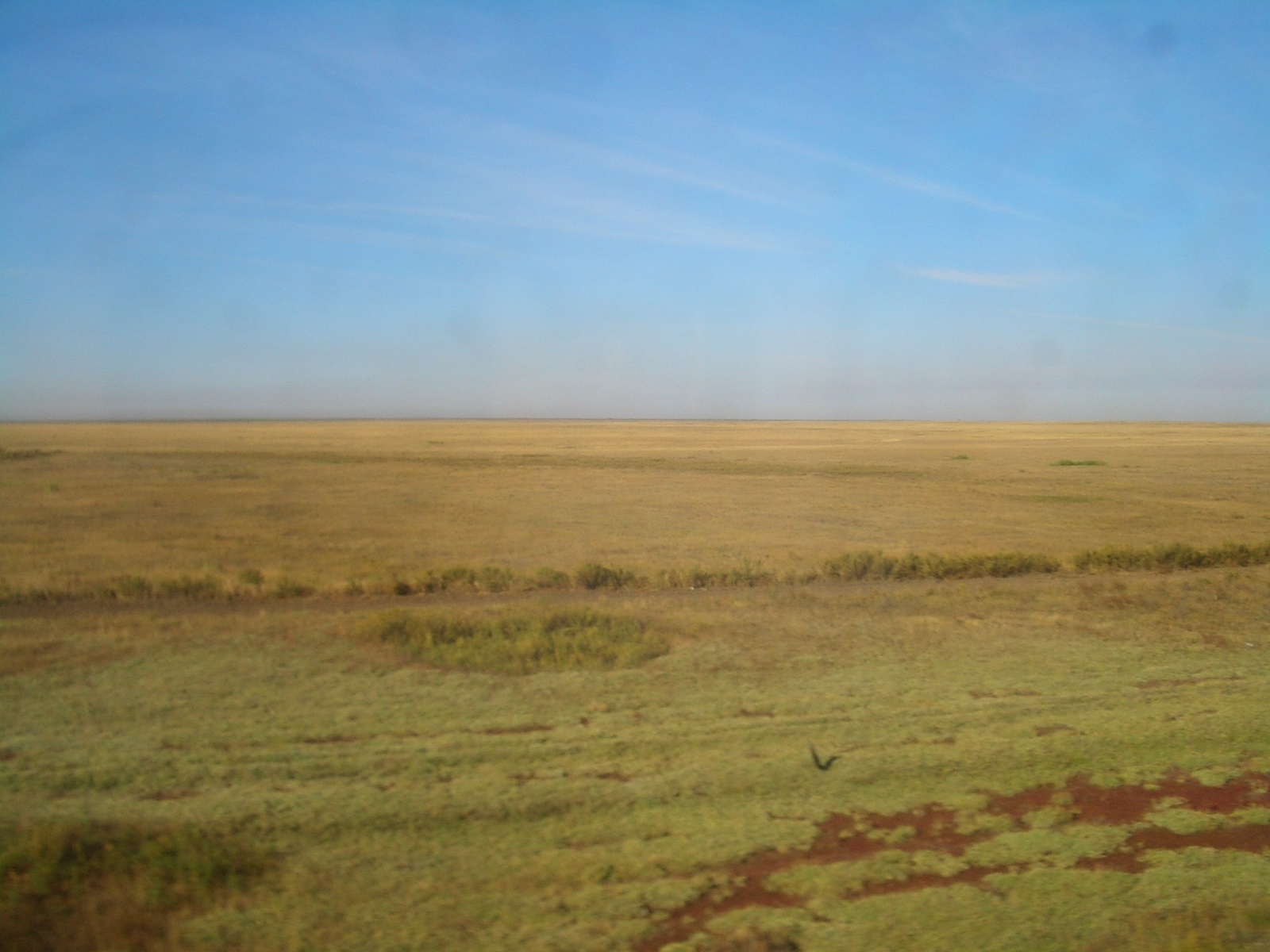 Steppe kazakhe