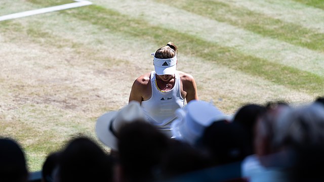 Elena Rybakina Tennis