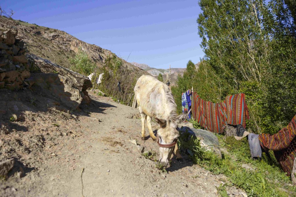 Tadjikistan Sept Lacs Tourisme Durable Ane Chemin