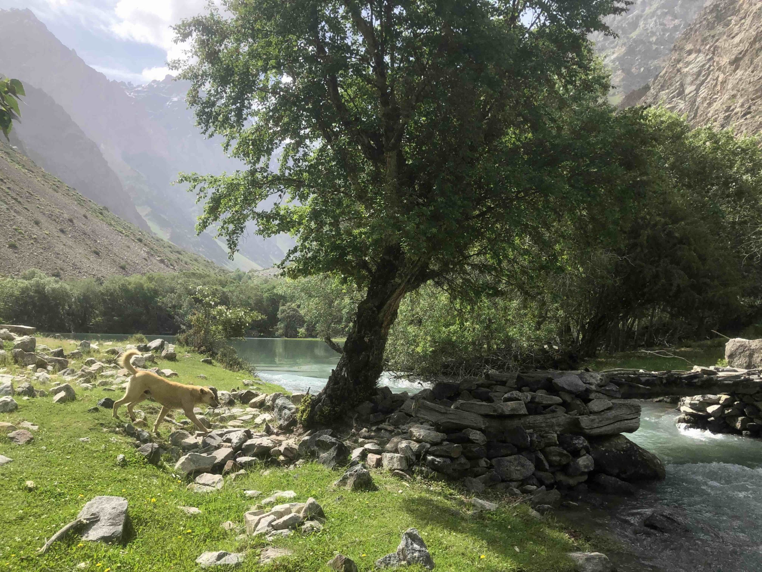 Le lac vert - La Rédaction