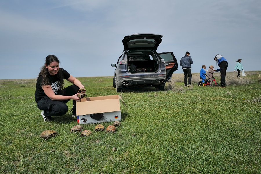 Kazakhstan Steppes Tortues