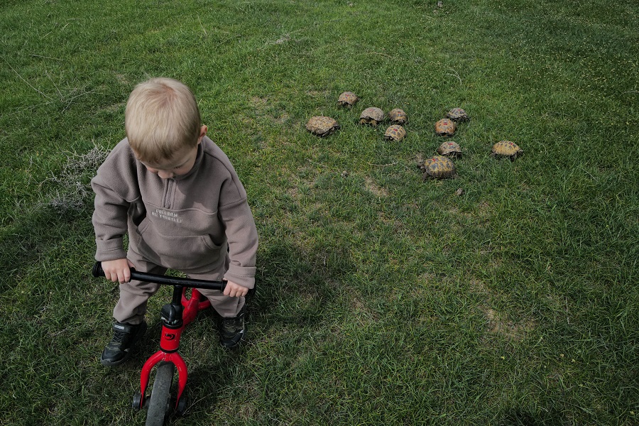 Kazakhstan Enfant Tortues