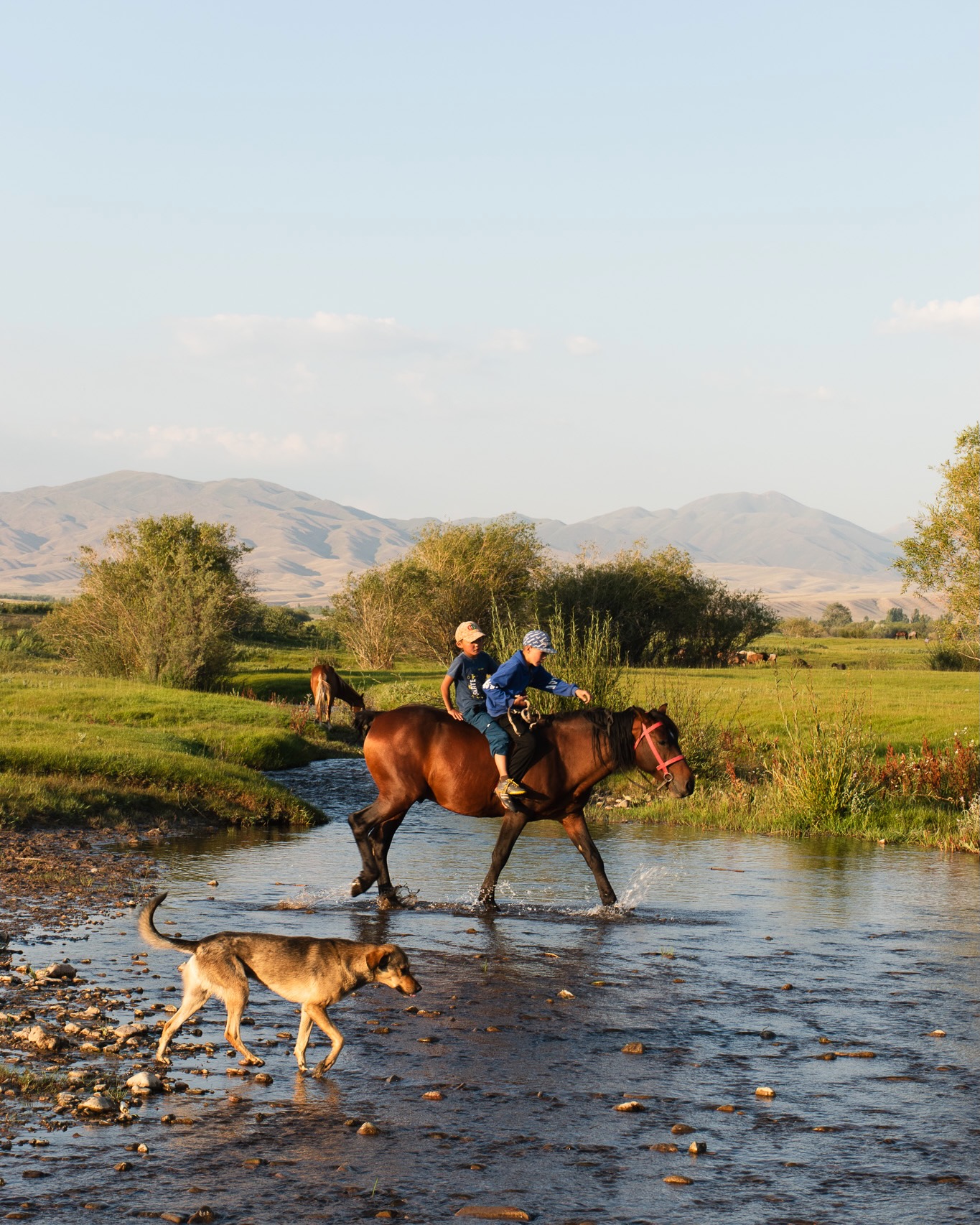 deux garçons chevauchent un cheval accompagnés d'un chien dans la campagne kirghize.