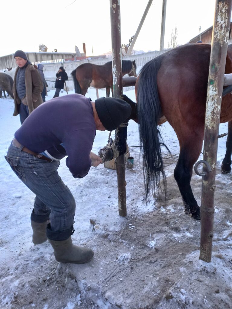 Karakol marché : tôt, bétail, savoir guide achat.