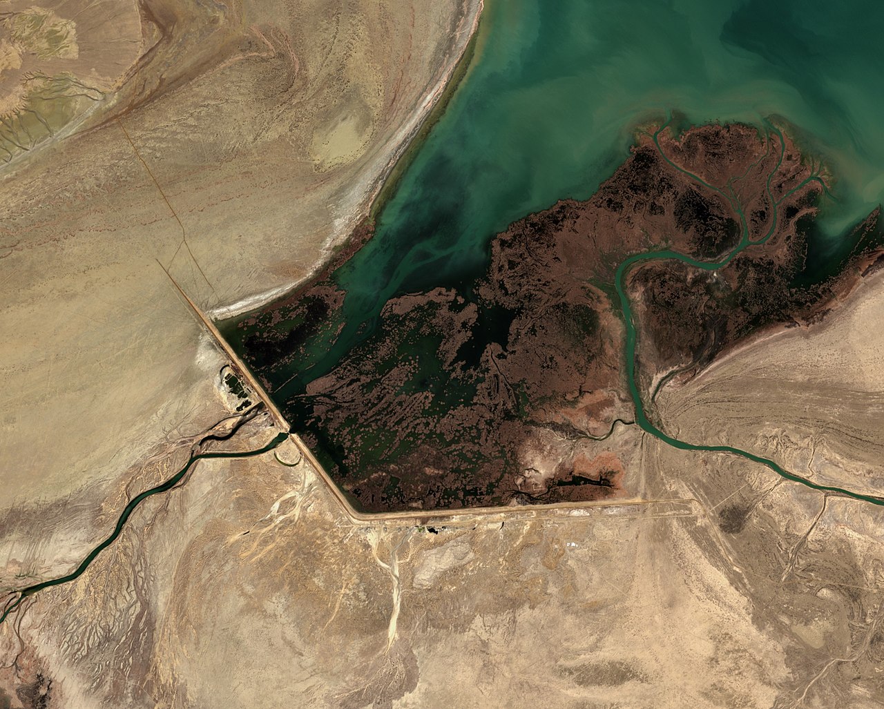 Vue satellite du barrage de Kok Aral, Kazakhstan. Crédit : Agence spatiale européenne, via Wikicommons