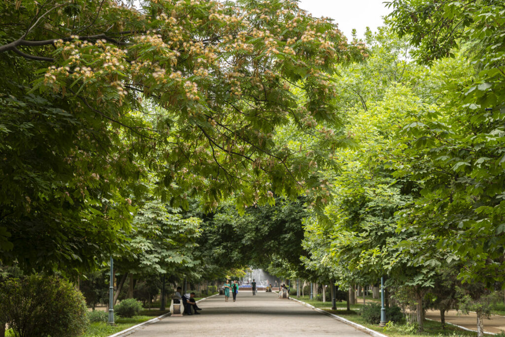 Boulevard Abramov Samarcande